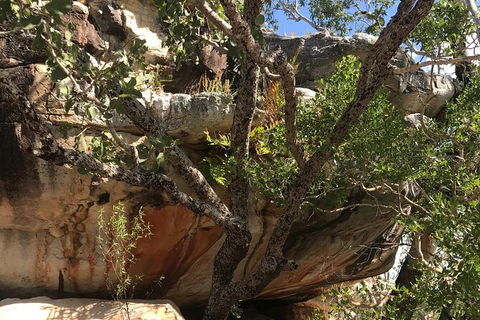 4-Hour Groote Eylandt Explorer 4WD Tour - Accommodation Batemans Bay 1
