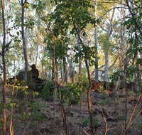 World War II Beyond Darwin - Accommodation Batemans Bay