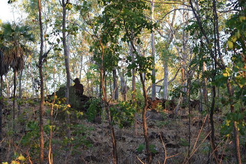 World War II Beyond Darwin - Accommodation Batemans Bay 0