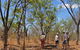 World War II Beyond Darwin - thumb 4