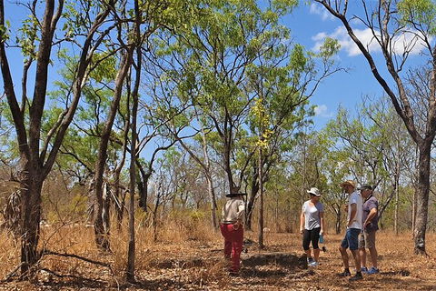 World War II Beyond Darwin - Accommodation Batemans Bay 4