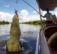 Pathfinder Jumping Crocodile Cruise Shuttle Bus - Accommodation Batemans Bay