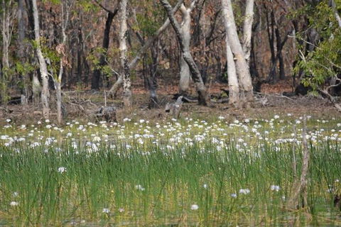 Darwin: Premium Litchfield Regional 11 Hours Tour - Accommodation Batemans Bay 4