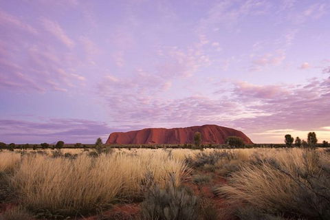 Explore Uluru: 7 Hours Guide Tour At Sunrise With Light Breakfast - Accommodation Batemans Bay 4