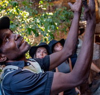 Arnhem Land Injalak Hill Full-Day Tour from Darwin - Accommodation Batemans Bay