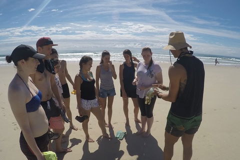 Half Day Dolphin Kayaking And Snorkeling Tour - Accommodation Batemans Bay 6