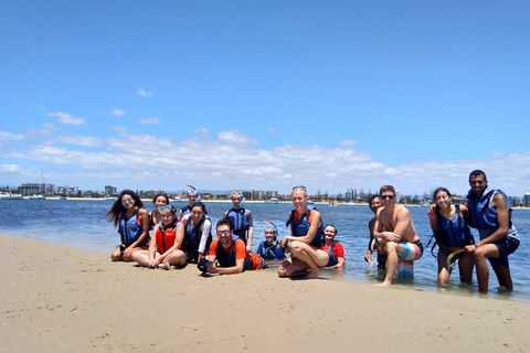 Half Day Dolphin Kayaking And Snorkeling Tour - Accommodation Batemans Bay 9