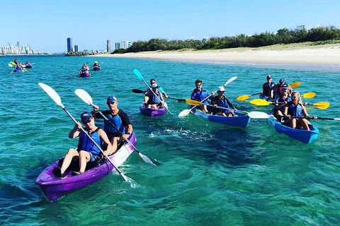 Half Day Dolphin Kayaking And Snorkeling Tour - Accommodation Batemans Bay 11