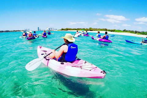 Half Day Dolphin Kayaking And Snorkeling Tour - Accommodation Batemans Bay 0