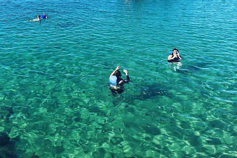 Half Day Dolphin Kayaking And Snorkeling Tour - Accommodation Batemans Bay 12