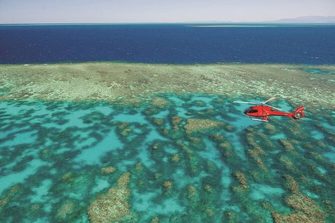 Ultimate Great Barrier Reef And Rainforest 45-minute Helicopter Tour - Accommodation Batemans Bay 2
