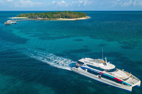 Ultimate 3-Day Great Barrier Reef Cruise Pass - Accommodation Batemans Bay 5