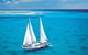 Ultimate 3-Day Great Barrier Reef Cruise Pass - thumb 1