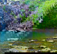 Reef Wildlife  Rainforest - Reef  Beyond Guided Holidays - Accommodation Batemans Bay