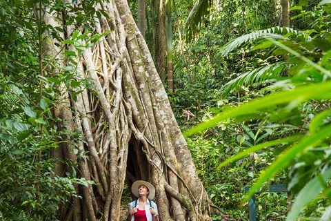 Rainforest To Reef Experience - Reef And Beyond Guided Holidays - Accommodation Batemans Bay 2