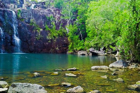 Rainforest To Reef Experience - Reef And Beyond Guided Holidays - Accommodation Batemans Bay 5