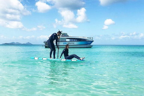 Rainforest To Reef Experience - Reef And Beyond Guided Holidays - Accommodation Batemans Bay 3
