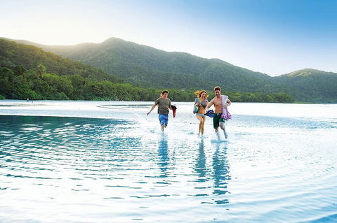 SHUTTLE - CAIRNS AIRPORT TO PORT DOUGLAS (or Reverse) - Accommodation Batemans Bay 1