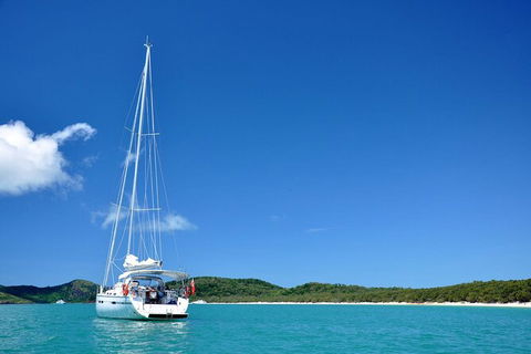 Sailing Curlew Escape On Moreton Bay - Accommodation Batemans Bay 0