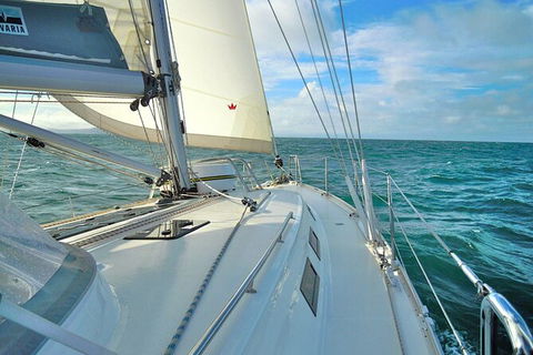 Sailing Curlew Escape On Moreton Bay - Accommodation Batemans Bay 7