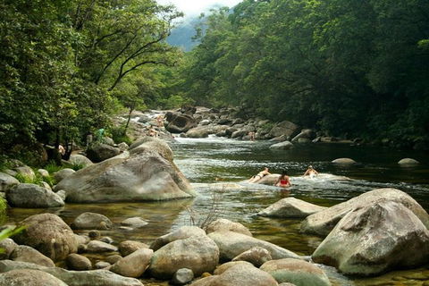 Port Douglas Daintree National Park Boutique Full-Day Tour - Accommodation Batemans Bay 2