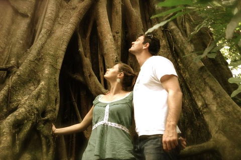 Port Douglas Daintree National Park Boutique Full-Day Tour - Accommodation Batemans Bay 3
