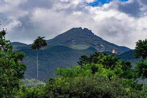 Port Douglas Daintree National Park Boutique Full-Day Tour - Accommodation Batemans Bay 0