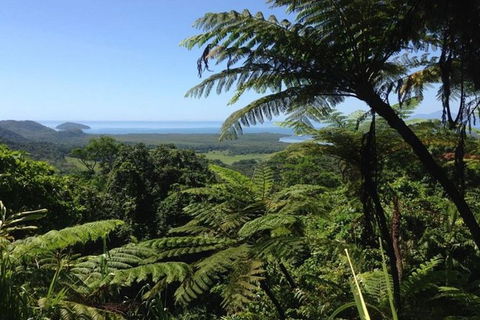 Port Douglas Daintree National Park Boutique Full-Day Tour - Accommodation Batemans Bay 1