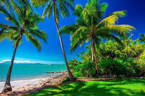 SHUTTLE - Port Douglas And Craiglie Return Transfer - Accommodation Batemans Bay 2