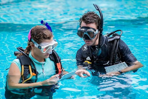 PADI Diving Courses On The Gold Coast - Accommodation Batemans Bay 0