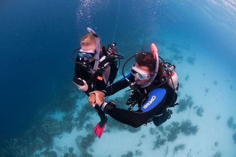 PADI Diving Courses On The Gold Coast - Accommodation Batemans Bay 5