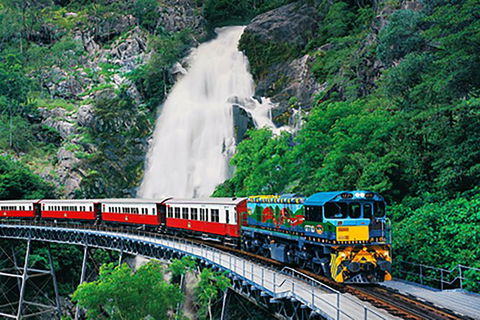 Day Tour To Kuranda, Rainforest And Port Douglas With Flight - Accommodation Batemans Bay 4