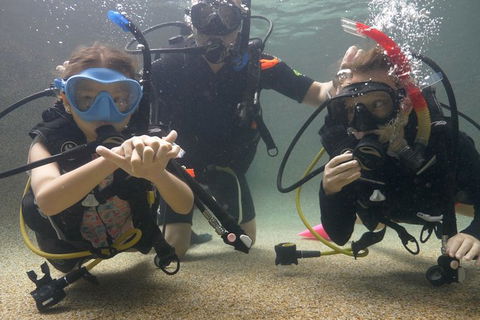 Scuba Kids- Padi Bubblemaker Course - Accommodation Batemans Bay 4