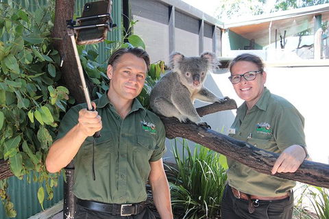 Virtual Interactive Australian Wildlife Tour With Private Guide-Wildlife Habitat - Accommodation Batemans Bay 4