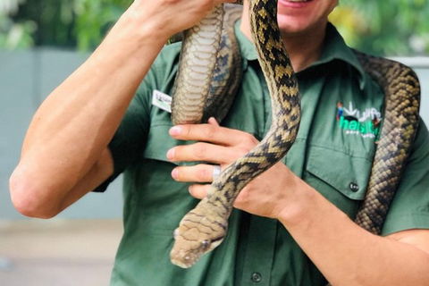 Virtual Interactive Australian Wildlife Tour With Private Guide-Wildlife Habitat - Accommodation Batemans Bay 3