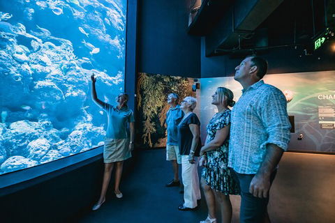 Cairns Aquarium By Twilight With 3 Course Dinner - Accommodation Batemans Bay 0
