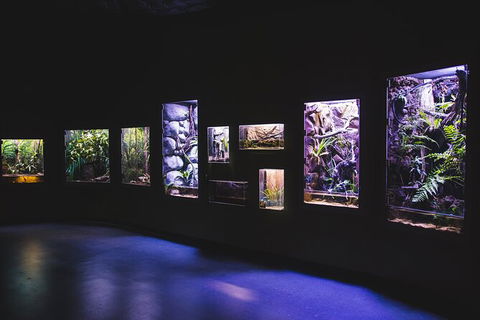 Cairns Aquarium By Twilight With 3 Course Dinner - Accommodation Batemans Bay 3