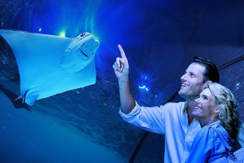 Cairns Aquarium Tour By Twilight With Drink And Appetiser - Accommodation Batemans Bay 0