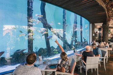 Cairns Aquarium Tour By Twilight With Drink And Appetiser - Accommodation Batemans Bay 1