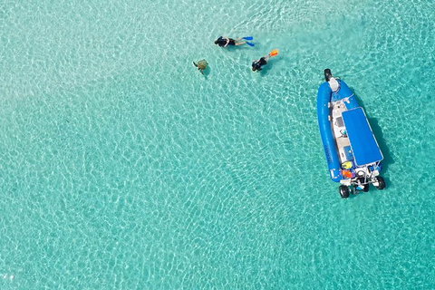 Remote Fraser Island & Whale Experience - Accommodation Batemans Bay 0