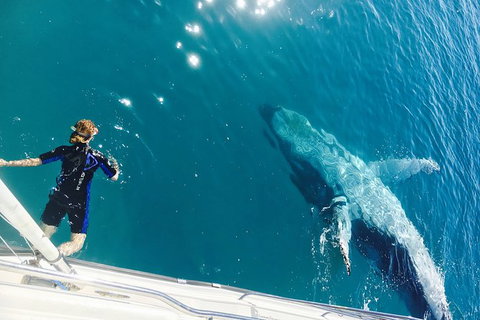 Remote Fraser Island & Whale Experience - Accommodation Batemans Bay 4