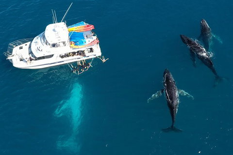 Remote Fraser Island & Whale Experience - Accommodation Batemans Bay 3
