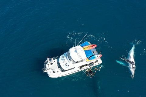 Remote Fraser Island & Whale Experience - Accommodation Batemans Bay 1
