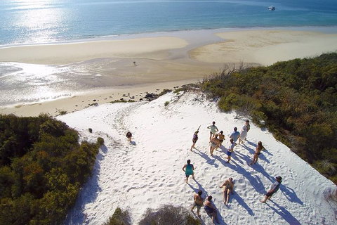 Remote Fraser Island & Whale Experience - Accommodation Batemans Bay 2