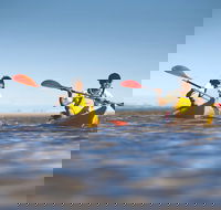 Kangaroo Island Self-Guided Kayaking on the Harriet River - Accommodation Batemans Bay