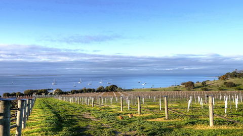 Kangaroo Island Gourmet Food And Wine Trail Tour - Accommodation Batemans Bay 3