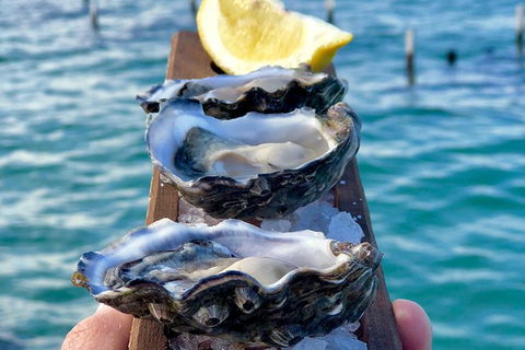 Coffin Bay Oysters, Ocean & Nature Tour - Accommodation Batemans Bay 0