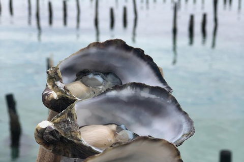 Coffin Bay Oysters, Ocean & Nature Tour - Accommodation Batemans Bay 6