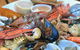 Coffin Bay Oysters, Ocean & Nature Tour - thumb 7