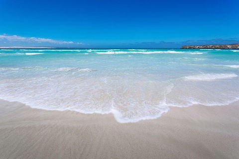 Coffin Bay Oysters, Ocean & Nature Tour - Accommodation Batemans Bay 14
